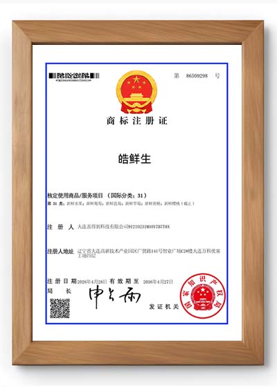 商标注册证书